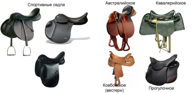 виды лошадиных седел