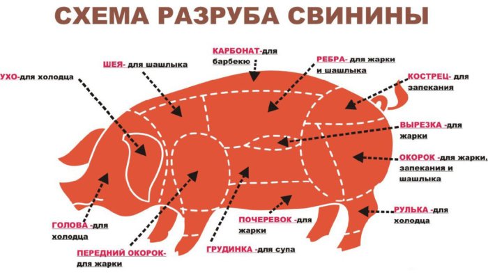 схема разруба свинины 